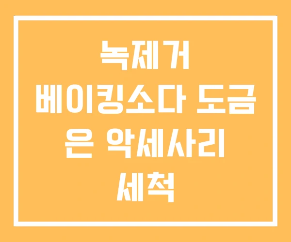 녹제거 베이킹소다 도금 은 악세사리 세척