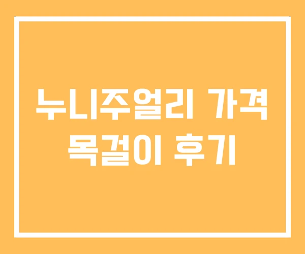 누니주얼리 가격 목걸이 후기 누니주얼리 가격 목걸이 후기