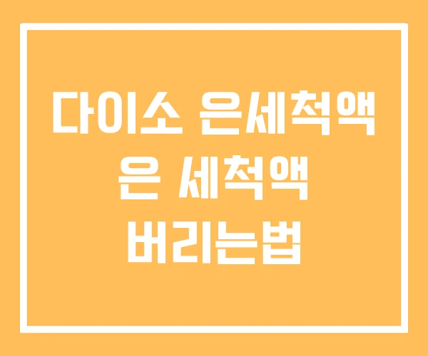다이소 은세척액 은 세척액 버리는법