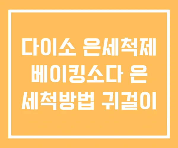 다이소 은세척제 베이킹소다 은 세척방법 귀걸이