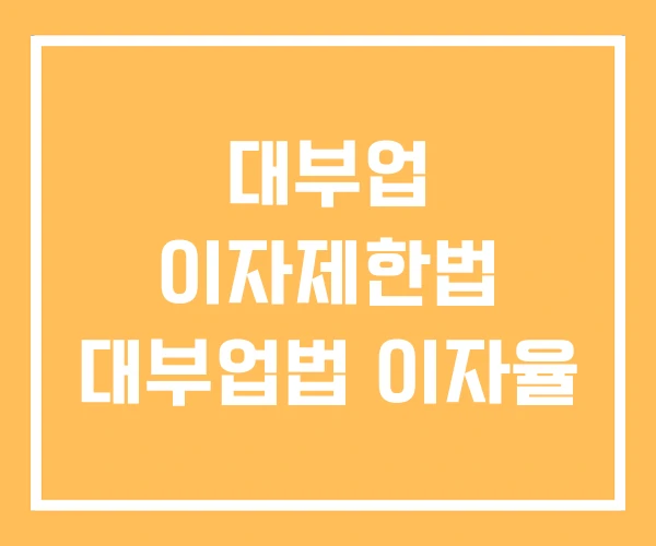 대부업 이자제한법 대부업법 이자율 대부업 이자제한법 대부업법 이자율