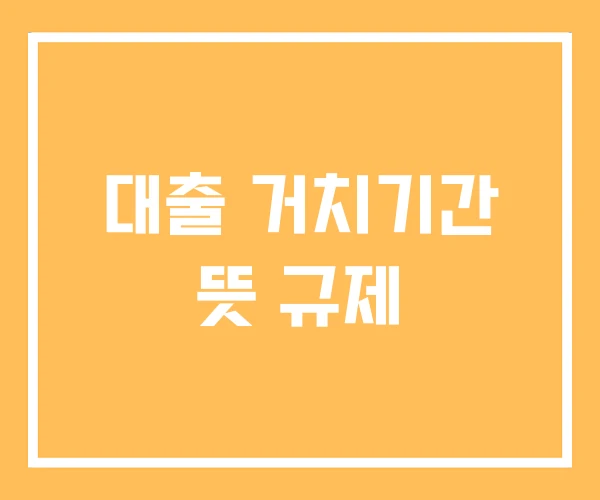 대출 거치기간 뜻 규제 대출 거치기간 뜻 규제