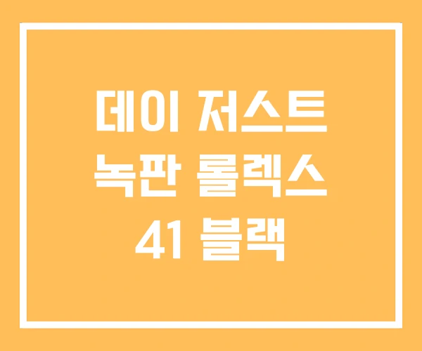 데이 저스트 녹판 롤렉스 41 블랙 데이 저스트 녹판 롤렉스 41 블랙