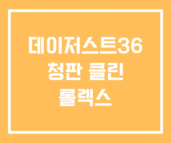 데이저스트36 청판 클린 롤렉스
