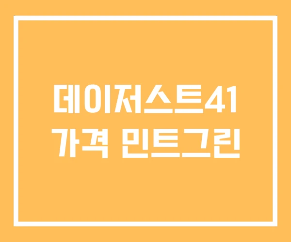 데이저스트41 가격 민트그린 데이저스트41 가격 민트그린