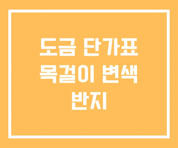 도금 단가표 목걸이 변색 반지