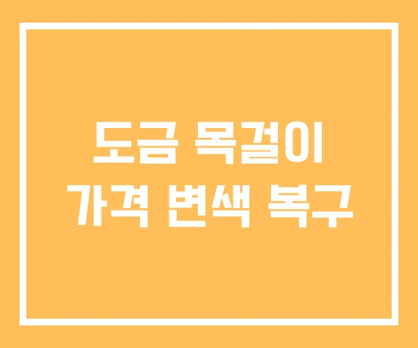 도금 목걸이 가격 변색 복구