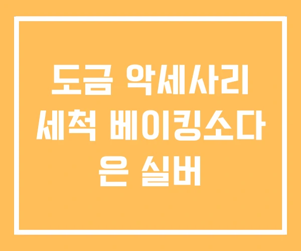 도금 악세사리 세척 베이킹소다 은 실버 도금 악세사리 세척 베이킹소다 은 실버