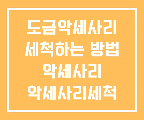 도금악세사리 세척하는 방법 악세사리 악세사리세척 도금악세사리 세척하는 방법 악세사리 악세사리세척