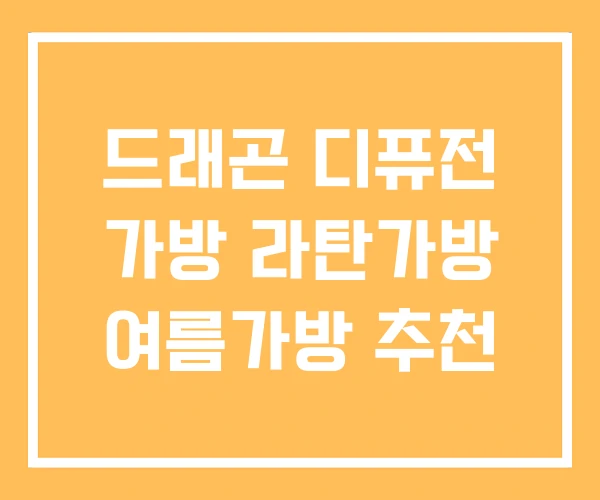 드래곤 디퓨전 가방 라탄가방 여름가방 추천