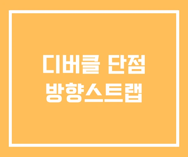 디버클 단점 방향스트랩 디버클 단점 방향스트랩