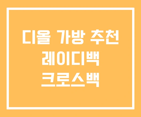 디올 가방 추천 레이디백 크로스백 디올 가방 추천 레이디백 크로스백