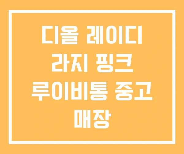 디올 레이디 라지 핑크 루이비통 중고 매장