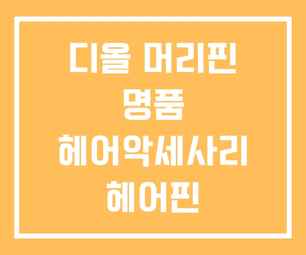 디올 머리핀 명품 헤어악세사리 헤어핀 디올 머리핀 명품 헤어악세사리 헤어핀