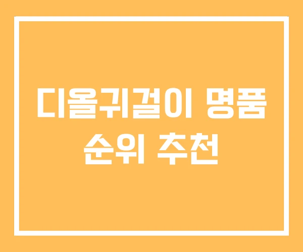 디올귀걸이 명품 순위 추천