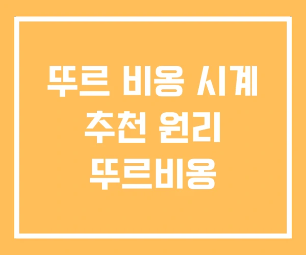 뚜르 비옹 시계 추천 원리 뚜르비옹 뚜르 비옹 시계 추천 원리 뚜르비옹