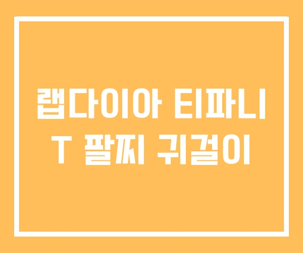 랩다이아 티파니 T 팔찌 귀걸이 랩다이아 티파니 T 팔찌 귀걸이