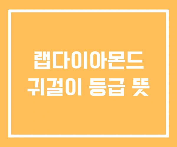 랩다이아몬드 귀걸이 등급 뜻