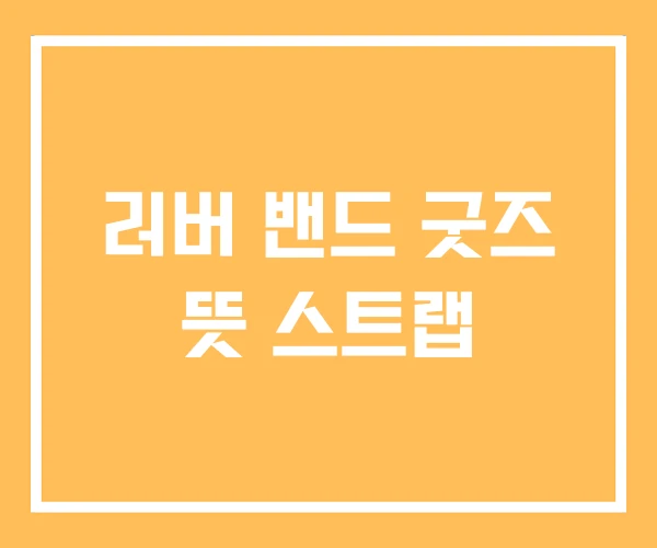 러버 밴드 굿즈 뜻 스트랩