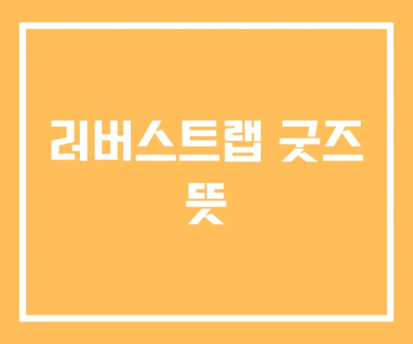 러버스트랩 굿즈 뜻