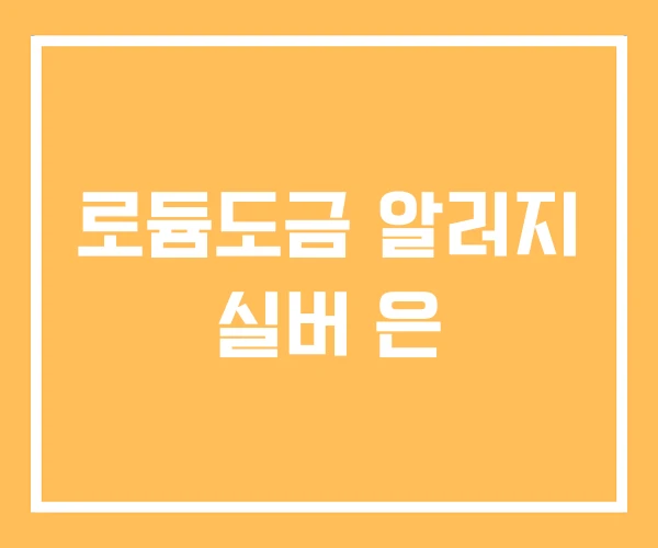 로듐도금 알러지 실버 은 로듐도금 알러지 실버 은