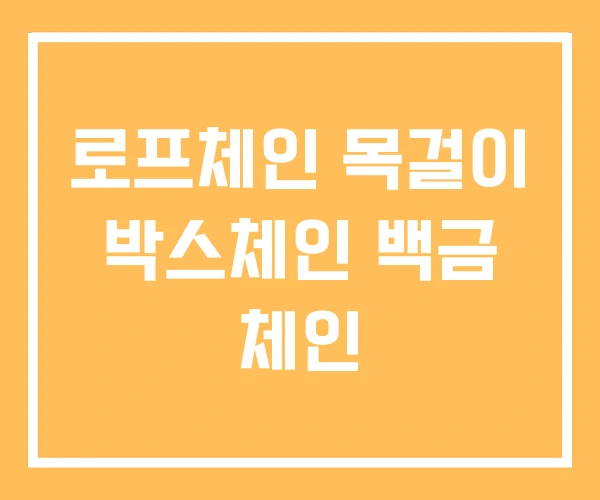 로프체인 목걸이 박스체인 백금 체인 로프체인 목걸이 박스체인 백금 체인