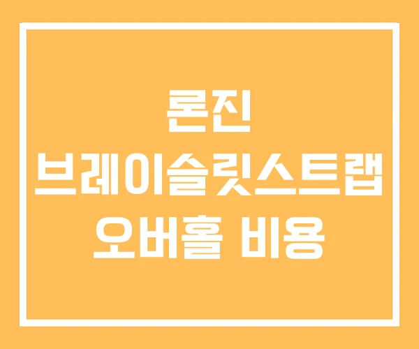 론진 브레이슬릿스트랩 오버홀 비용