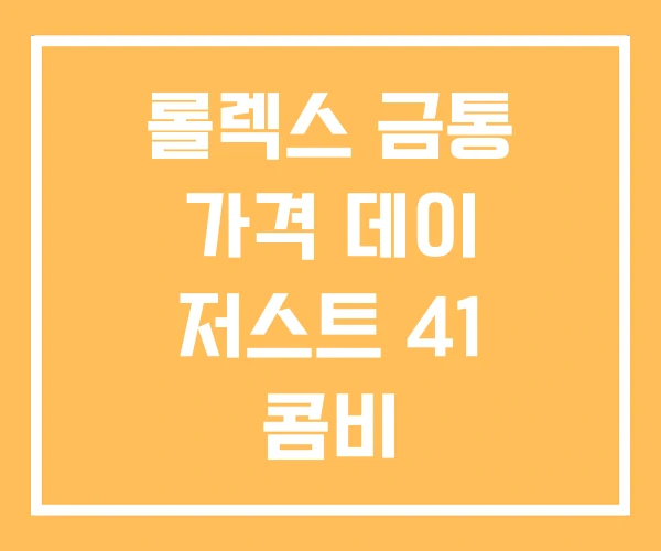 롤렉스 금통 가격 데이 저스트 41 콤비