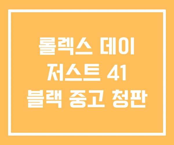 롤렉스 데이 저스트 41 블랙 중고 청판 롤렉스 데이 저스트 41 블랙 중고 청판