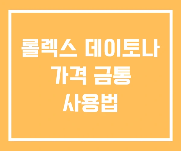 롤렉스 데이토나 가격 금통 사용법