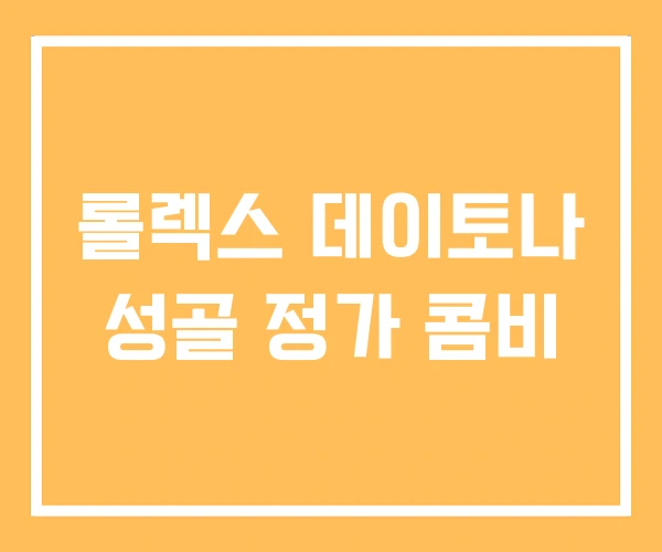 롤렉스 데이토나 성골 정가 콤비
