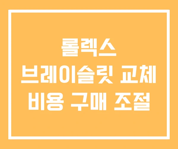 롤렉스 브레이슬릿 교체 비용 구매 조절 롤렉스 브레이슬릿 교체 비용 구매 조절