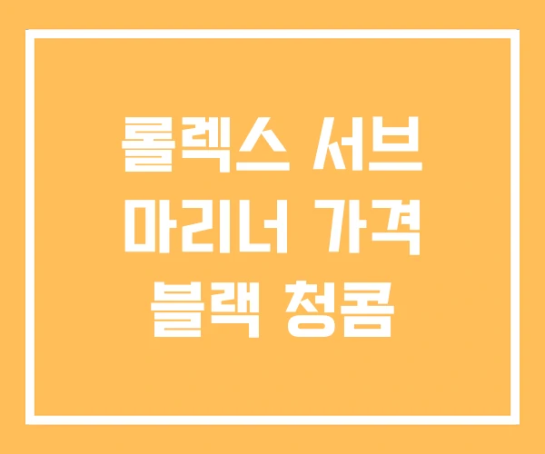 롤렉스 서브 마리너 가격 블랙 청콤 롤렉스 서브 마리너 가격 블랙 청콤