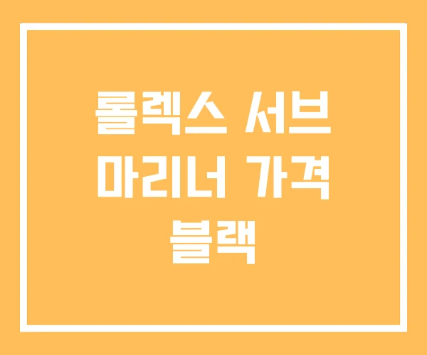 롤렉스 서브 마리너 가격 블랙