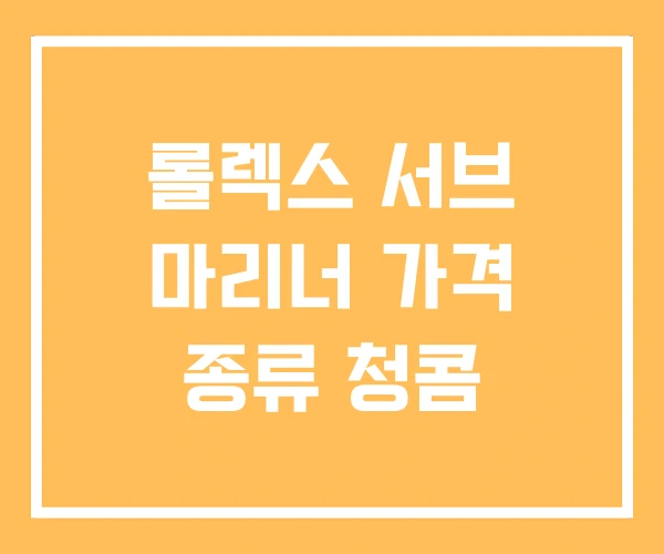 롤렉스 서브 마리너 가격 종류 청콤