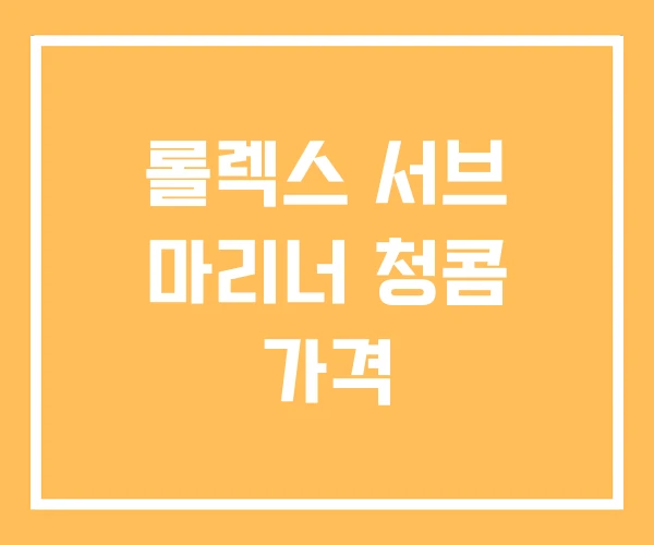 롤렉스 서브 마리너 청콤 가격