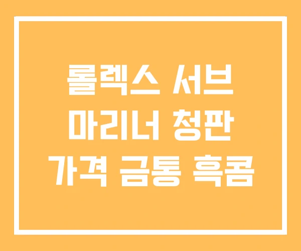 롤렉스 서브 마리너 청판 가격 금통 흑콤 롤렉스 서브 마리너 청판 가격 금통 흑콤