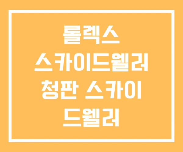 롤렉스 스카이드웰러 청판 스카이 드웰러