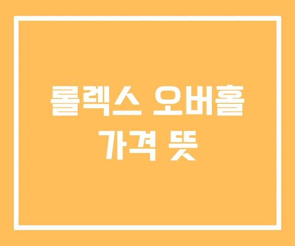 롤렉스 오버홀 가격 뜻