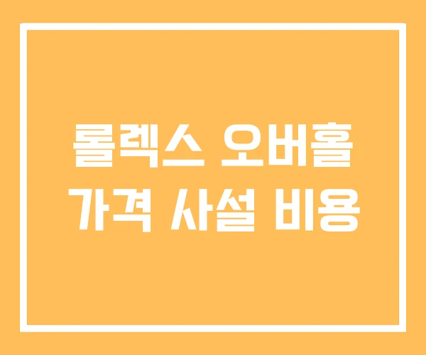 롤렉스 오버홀 가격 사설 비용 롤렉스 오버홀 가격 사설 비용