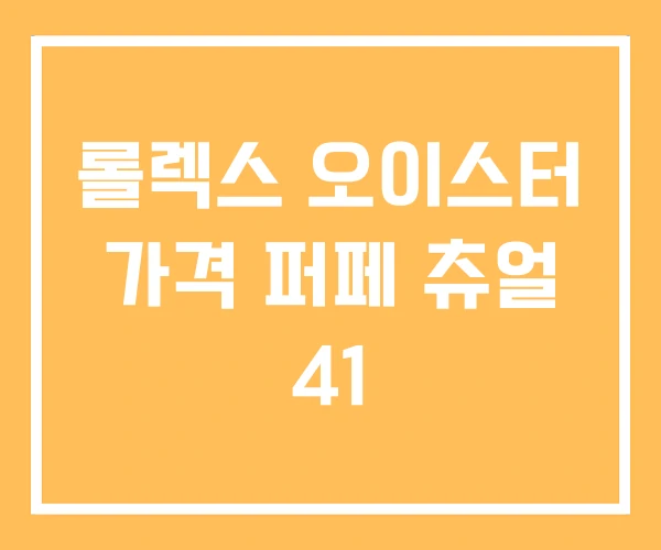 롤렉스 오이스터 가격 퍼페 츄얼 41 롤렉스 오이스터 가격 퍼페 츄얼 41