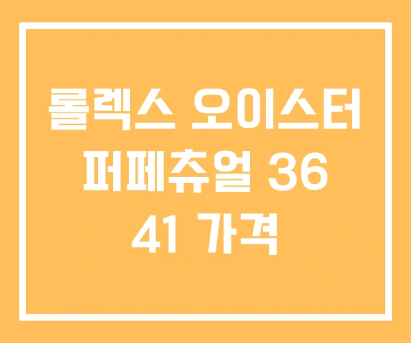 롤렉스 오이스터 퍼페츄얼 36 41 가격 롤렉스 오이스터 퍼페츄얼 36 41 가격