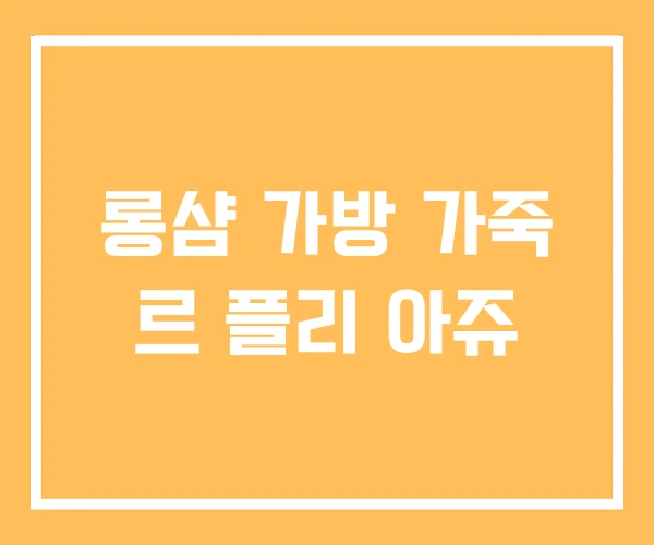 롱샴 가방 가죽 르 플리 아쥬 롱샴 가방 가죽 르 플리 아쥬