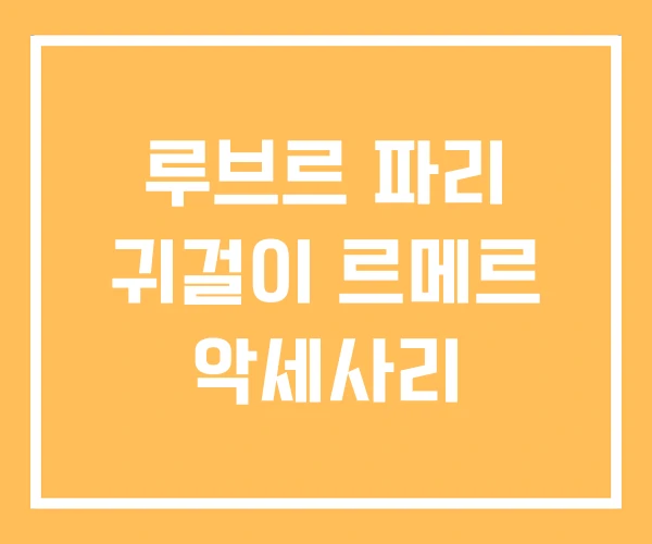 루브르 파리 귀걸이 르메르 악세사리 루브르 파리 귀걸이 르메르 악세사리