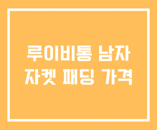 루이비통 남자 자켓 패딩 가격
