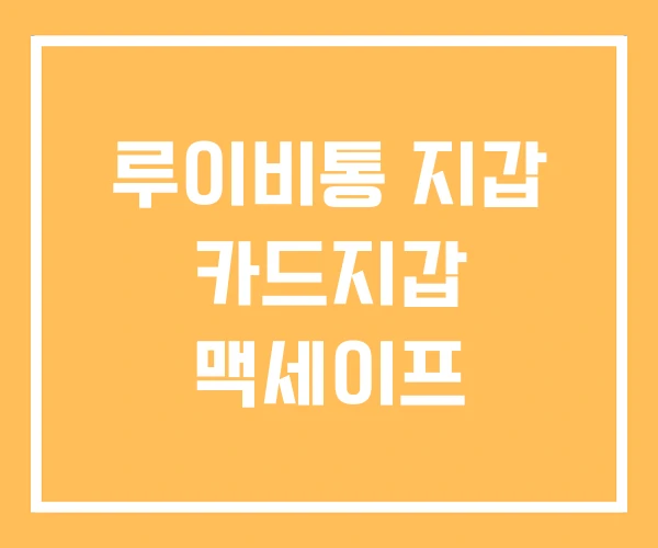 루이비통 지갑 카드지갑 맥세이프