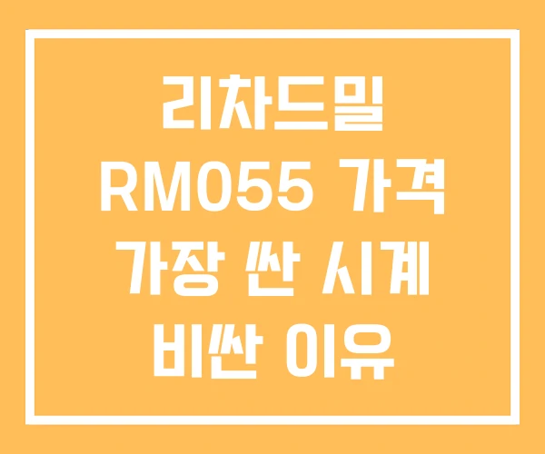 리차드밀 RM055 가격 가장 싼 시계 비싼 이유 리차드밀 RM055 가격 가장 싼 시계 비싼 이유