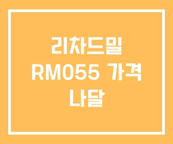 리차드밀 RM055 가격 나달 리차드밀 RM055 가격 나달