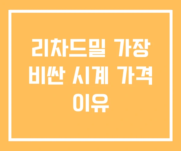 리차드밀 가장 비싼 시계 가격 이유 리차드밀 가장 비싼 시계 가격 이유