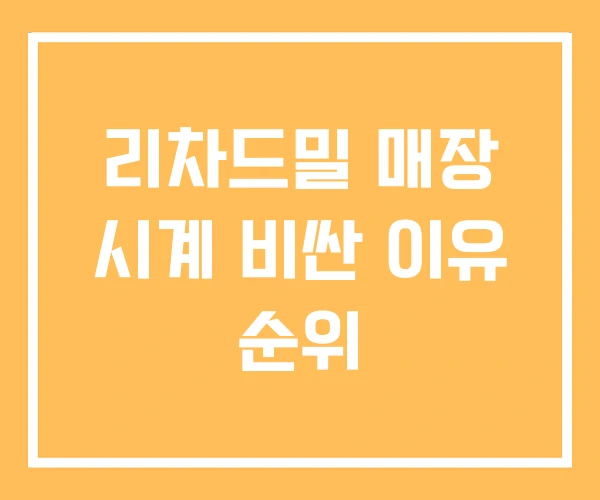 리차드밀 매장 시계 비싼 이유 순위